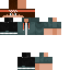 Texture for Luigimateus