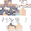 Texture for swanree messenger2
