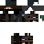 Texture for ninja