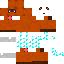 Texture for Tom Nook