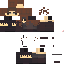 Texture for ds