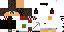 Texture for Steve_New