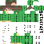 Texture for kaktusek 