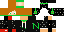Texture for N1C010