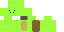 Texture for turtle