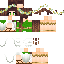 Texture for Artemis