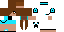 Texture for steve