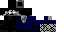 Texture for vector