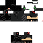 Texture for Pavel