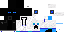 Texture for ds