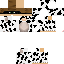 Texture for Teochen 