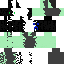 Texture for anon1337