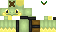 Texture for turtwig