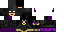 Texture for skybat