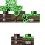 Texture for Creeper