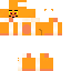 Texture for simba