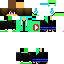 Texture for skin do minecraft