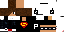 Texture for MineWolf347