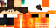 Texture for Struns2