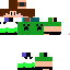 Texture for Creeper extremer games