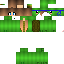 Texture for RONNNNNNN TURTLE