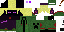 Texture for エンダークリーパーカー