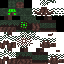 Texture for Forrest Wisp