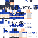 Texture for Blue Reimu