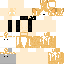 Texture for Simon