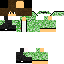 Texture for NASSIM