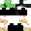 Texture for Creeper2015new