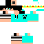 Texture for SnoowGamess