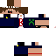 Texture for bobyswift2.2