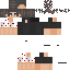Texture for dsada