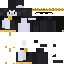 Texture for pinguino god