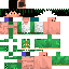 Texture for gon freecss