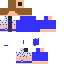 Texture for steve gang