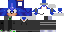 Texture for sonicwalter