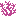 Texture for brain_coral