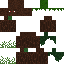 Texture for Tree Spider