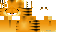 Texture for garfield