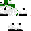 Texture for schlafii v5