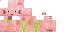 Texture for Mankini
