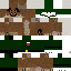 Texture for floppa army