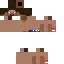 Texture for Panther