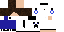 Texture for Cinima 4D