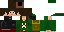Texture for sg