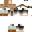 Texture for Tess