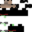 Texture for Legiator 4
