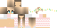 Texture for steve.pn